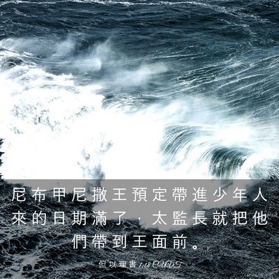 Picture 03 - 但 以 理 書 1:18 CUVT - 尼 布 甲 尼 撒 王 預 定 帶 進 少 年 - Bible Verse Picture