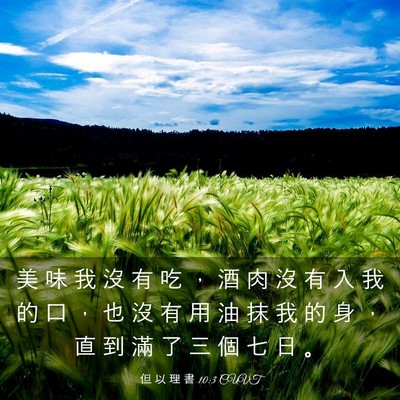 Picture 03 - 但 以 理 書 10:3 CUVT - 美 味 我 沒 有 吃 ， 酒 肉 沒 有 入 - Bible Verse Picture