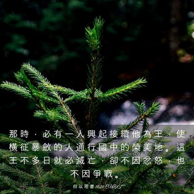 Picture 03 - 但 以 理 書 11:20 CUVT - 那 時 ， 必 有 一 人 興 起 接 續 他 - Bible Verse Picture