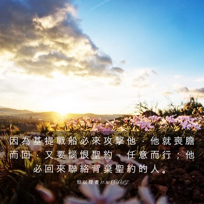 Picture 03 - 但 以 理 書 11:30 CUVT - 因 為 基 提 戰 船 必 來 攻 擊 他 ， - Bible Verse Picture