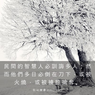 Picture 03 - 但 以 理 書 11:33 CUVT - 民 間 的 智 慧 人 必 訓 誨 多 人 ； - Bible Verse Picture