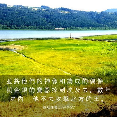 Picture 03 - 但 以 理 書 11:8 CUVT - 並 將 他 們 的 神 像 和 鑄 成 的 偶 - Bible Verse Picture