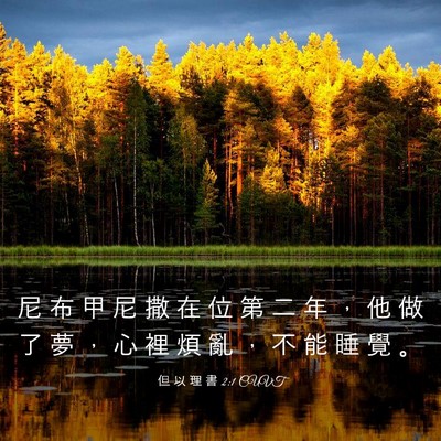 Picture 03 - 但 以 理 書 2:1 CUVT - 尼 布 甲 尼 撒 在 位 第 二 年 ， 他 - Bible Verse Picture