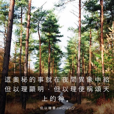 Picture 03 - 但 以 理 書 2:19 CUVT - 這 奧 秘 的 事 就 在 夜 間 異 象 中 - Bible Verse Picture
