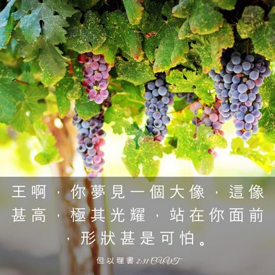 Picture 03 - 但 以 理 書 2:31 CUVT - 王 啊 ， 你 夢 見 一 個 大 像 ， 這 - Bible Verse Picture