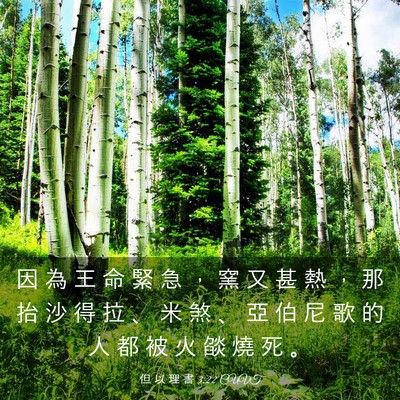 Picture 03 - 但 以 理 書 3:22 CUVT - 因 為 王 命 緊 急 ， 窯 又 甚 熱 ， - Bible Verse Picture