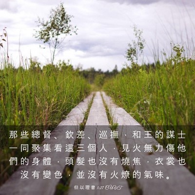 Picture 03 - 但 以 理 書 3:27 CUVT - 那 些 總 督 、 欽 差 、 巡 撫 ， 和 - Bible Verse Picture