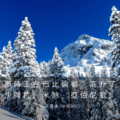 Picture 03 - 但 以 理 書 3:30 CUVT - 那 時 王 在 巴 比 倫 省 ， 高 升 了 - Bible Verse Picture