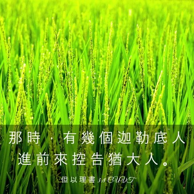 Picture 03 - 但 以 理 書 3:8 CUVT - 那 時 ， 有 幾 個 迦 勒 底 人 進 前 - Bible Verse Picture
