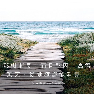 Picture 03 - 但 以 理 書 4:11 CUVT - 那 樹 漸 長 ， 而 且 堅 固 ， 高 得 - Bible Verse Picture