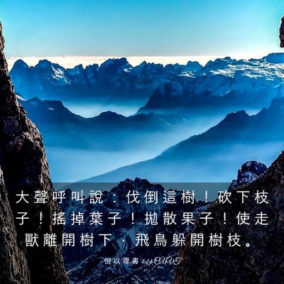 Picture 03 - 但 以 理 書 4:14 CUVT - 大 聲 呼 叫 說 ： 伐 倒 這 樹 ！ 砍 - Bible Verse Picture
