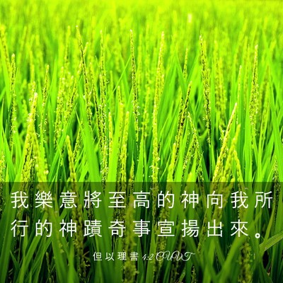 Picture 03 - 但 以 理 書 4:2 CUVT - 我 樂 意 將 至 高 的 神 向 我 所 行 - Bible Verse Picture