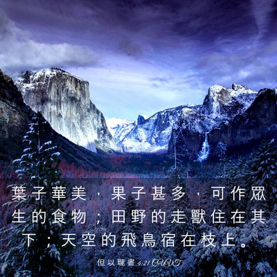 Picture 03 - 但 以 理 書 4:21 CUVT - 葉 子 華 美 ， 果 子 甚 多 ， 可 作 - Bible Verse Picture