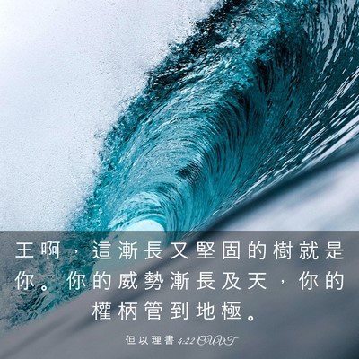 Picture 03 - 但 以 理 書 4:22 CUVT - 王 啊 ， 這 漸 長 又 堅 固 的 樹 就 - Bible Verse Picture