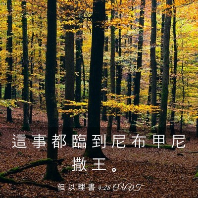 Picture 03 - 但 以 理 書 4:28 CUVT - 這 事 都 臨 到 尼 布 甲 尼 撒 王 - Bible Verse Picture