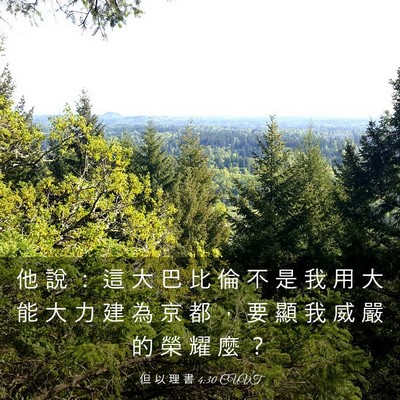 Picture 03 - 但 以 理 書 4:30 CUVT - 他 說 ： 這 大 巴 比 倫 不 是 我 用 - Bible Verse Picture