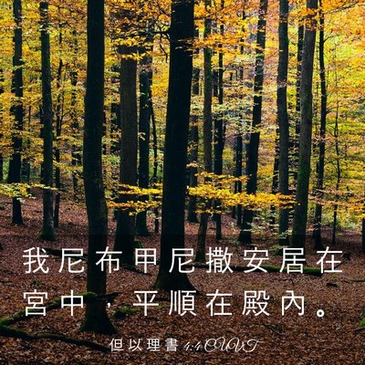 Picture 03 - 但 以 理 書 4:4 CUVT - 我 尼 布 甲 尼 撒 安 居 在 宮 中 ， - Bible Verse Picture