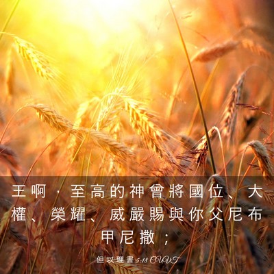 Picture 03 - 但 以 理 書 5:18 CUVT - 王 啊 ， 至 高 的 神 曾 將 國 位 、 - Bible Verse Picture