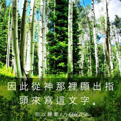 Picture 03 - 但 以 理 書 5:24 CUVT - 因 此 從 神 那 裡 顯 出 指 頭 來 寫 - Bible Verse Picture