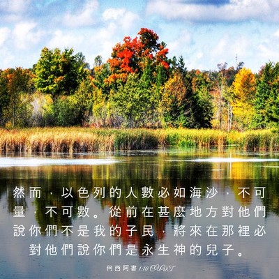 Picture 03 - 何 西 阿 書 1:10 CUVT - 然 而 ， 以 色 列 的 人 數 必 如 海 - Bible Verse Picture