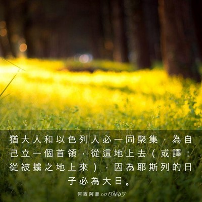 Picture 03 - 何 西 阿 書 1:11 CUVT - 猶 大 人 和 以 色 列 人 必 一 同 聚 - Bible Verse Picture