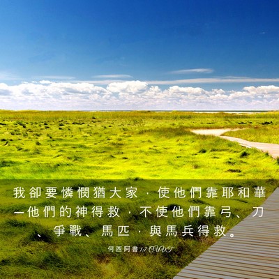 Picture 03 - 何 西 阿 書 1:7 CUVT - 我 卻 要 憐 憫 猶 大 家 ， 使 他 們 - Bible Verse Picture