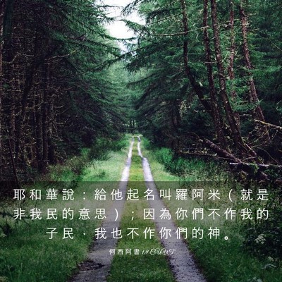 Picture 03 - 何 西 阿 書 1:9 CUVT - 耶 和 華 說 ： 給 他 起 名 叫 羅 阿 - Bible Verse Picture
