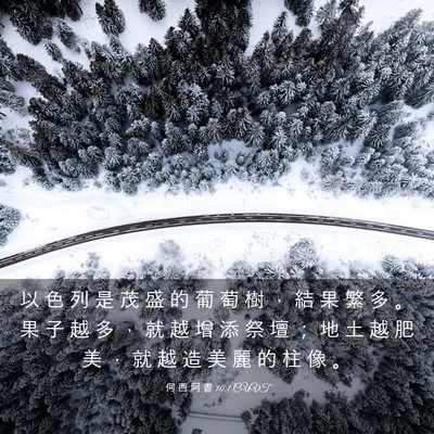 Picture 03 - 何 西 阿 書 10:1 CUVT - 以 色 列 是 茂 盛 的 葡 萄 樹 ， 結 - Bible Verse Picture