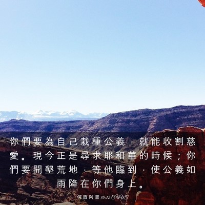 Picture 03 - 何 西 阿 書 10:12 CUVT - 你 們 要 為 自 己 栽 種 公 義 ， 就 - Bible Verse Picture
