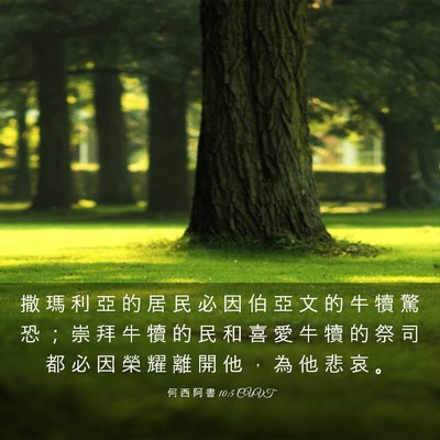 Picture 03 - 何 西 阿 書 10:5 CUVT - 撒 瑪 利 亞 的 居 民 必 因 伯 亞 文 - Bible Verse Picture