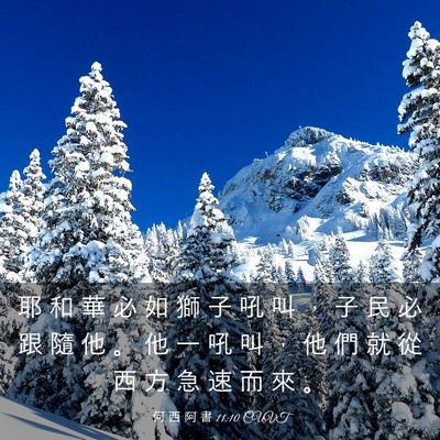 Picture 03 - 何 西 阿 書 11:10 CUVT - 耶 和 華 必 如 獅 子 吼 叫 ， 子 民 - Bible Verse Picture