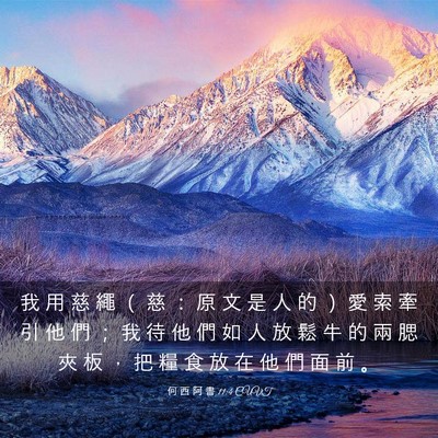 Picture 03 - 何 西 阿 書 11:4 CUVT - 我 用 慈 繩 （ 慈 ： 原 文 是 人 的 - Bible Verse Picture