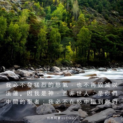 Picture 03 - 何 西 阿 書 11:9 CUVT - 我 必 不 發 猛 烈 的 怒 氣 ， 也 不 - Bible Verse Picture
