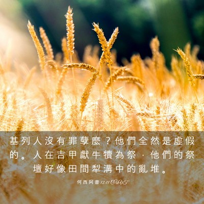 Picture 03 - 何 西 阿 書 12:11 CUVT - 基 列 人 沒 有 罪 孽 麼 ？ 他 們 全 - Bible Verse Picture