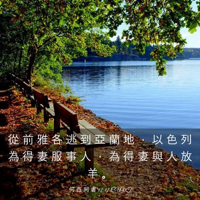 Picture 03 - 何 西 阿 書 12:12 CUVT - 從 前 雅 各 逃 到 亞 蘭 地 ， 以 色 - Bible Verse Picture