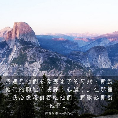 Picture 03 - 何 西 阿 書 13:8 CUVT - 我 遇 見 他 們 必 像 丟 崽 子 的 母 - Bible Verse Picture