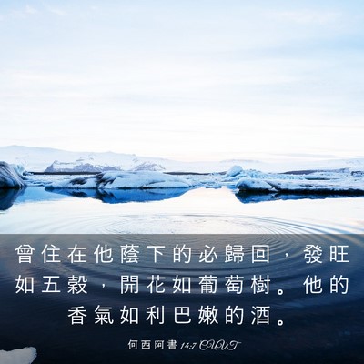 Picture 03 - 何 西 阿 書 14:7 CUVT - 曾 住 在 他 蔭 下 的 必 歸 回 ， 發 - Bible Verse Picture