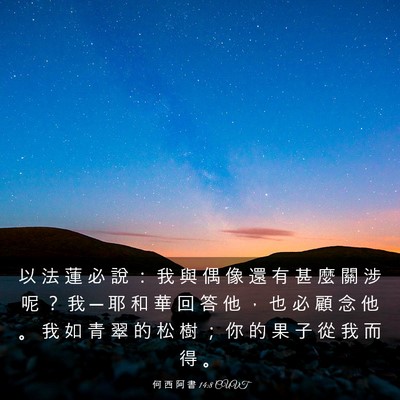 Picture 03 - 何 西 阿 書 14:8 CUVT - 以 法 蓮 必 說 ： 我 與 偶 像 還 有 - Bible Verse Picture