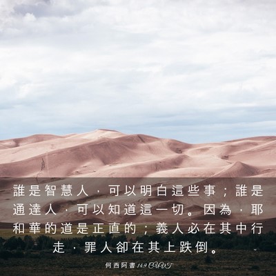 Picture 03 - 何 西 阿 書 14:9 CUVT - 誰 是 智 慧 人 ， 可 以 明 白 這 些 - Bible Verse Picture
