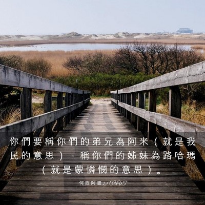 Picture 03 - 何 西 阿 書 2:1 CUVT - 你 們 要 稱 你 們 的 弟 兄 為 阿 米 - Bible Verse Picture