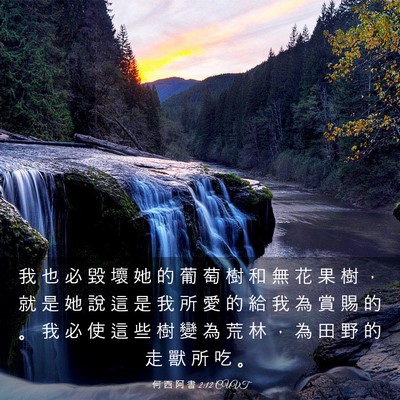 Picture 03 - 何 西 阿 書 2:12 CUVT - 我 也 必 毀 壞 她 的 葡 萄 樹 和 無 - Bible Verse Picture