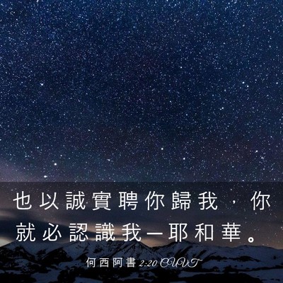 Picture 03 - 何 西 阿 書 2:20 CUVT - 也 以 誠 實 聘 你 歸 我 ， 你 就 必 - Bible Verse Picture