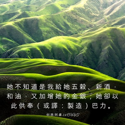 Picture 03 - 何 西 阿 書 2:8 CUVT - 她 不 知 道 是 我 給 她 五 穀 、 新 - Bible Verse Picture