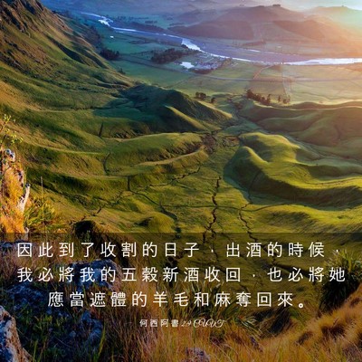 Picture 03 - 何 西 阿 書 2:9 CUVT - 因 此 到 了 收 割 的 日 子 ， 出 酒 - Bible Verse Picture