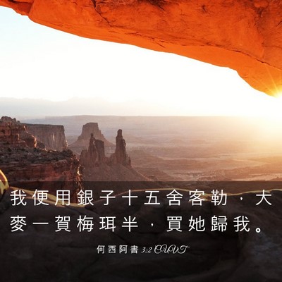 Picture 03 - 何 西 阿 書 3:2 CUVT - 我 便 用 銀 子 十 五 舍 客 勒 ， 大 - Bible Verse Picture
