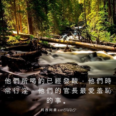 Picture 03 - 何 西 阿 書 4:18 CUVT - 他 們 所 喝 的 已 經 發 酸 ， 他 們 - Bible Verse Picture