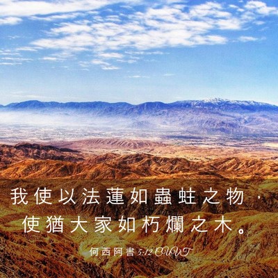Picture 03 - 何 西 阿 書 5:12 CUVT - 我 使 以 法 蓮 如 蟲 蛀 之 物 ， 使 - Bible Verse Picture