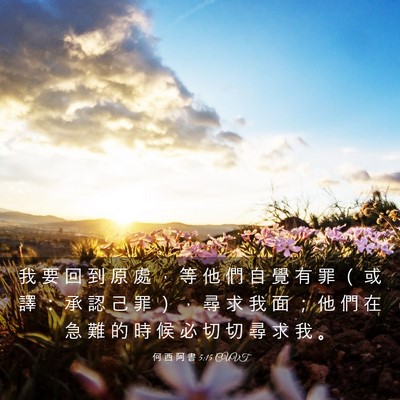 Picture 03 - 何 西 阿 書 5:15 CUVT - 我 要 回 到 原 處 ， 等 他 們 自 覺 - Bible Verse Picture