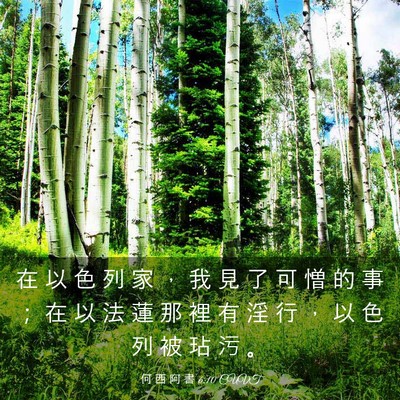 Picture 03 - 何 西 阿 書 6:10 CUVT - 在 以 色 列 家 ， 我 見 了 可 憎 的 - Bible Verse Picture
