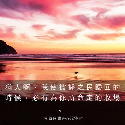Picture 03 - 何 西 阿 書 6:11 CUVT - 猶 大 啊 ， 我 使 被 擄 之 民 歸 回 - Bible Verse Picture